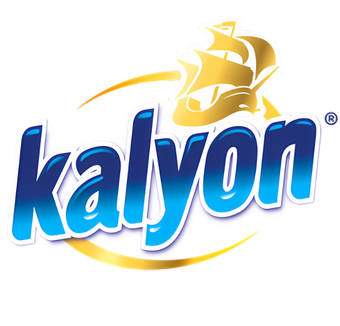 Kalyon Logo Case study